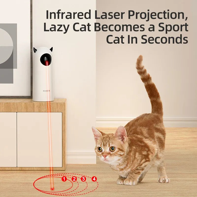 laser for cat